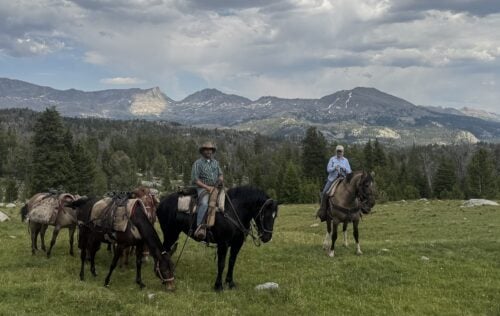 Bald Mountain Outfitters