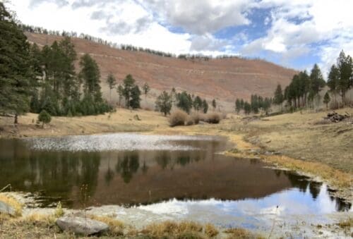 NM Ranch