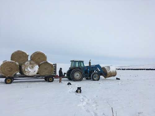 Ranch Mechanic / General Ranch Hand needed at 5th Generation Livestock ...
