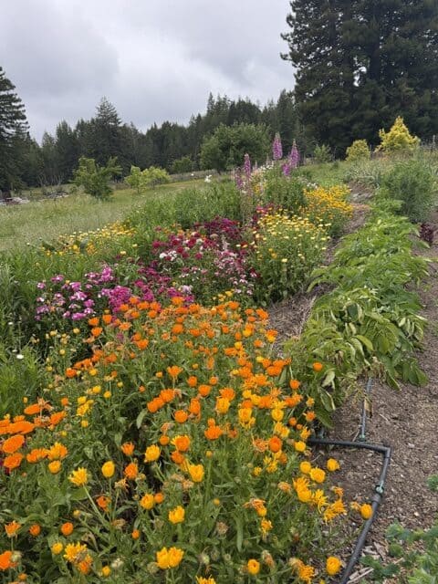 private CA Ranch