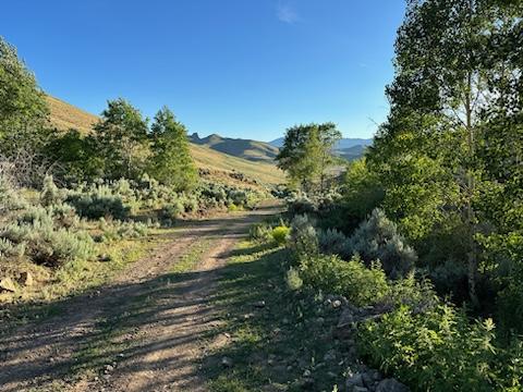 PU Ranch Idaho
