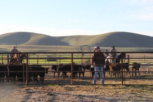 Grigory Ranch