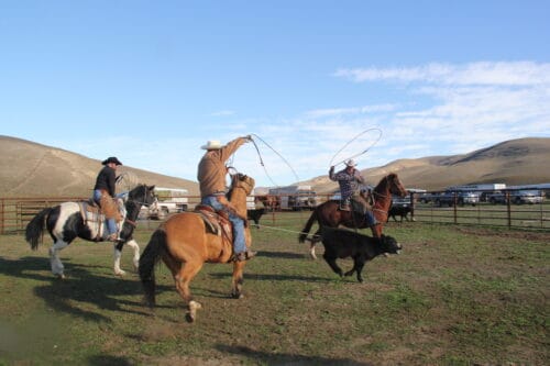 Grigory Ranch