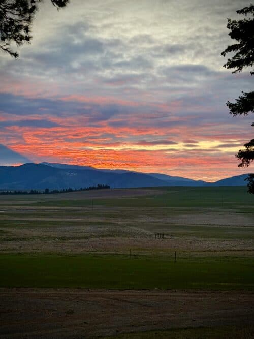 Meyer Company Ranch MT