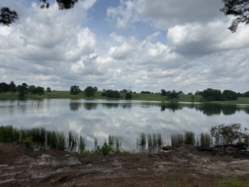 Storybook Ranch TX