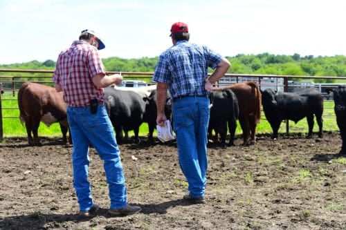 Mead Farms - Barnett, MO