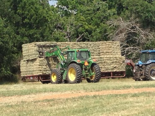 Farm / Ranch Hand needed at Cattle & Hay Operation in Cooper, Texas ...