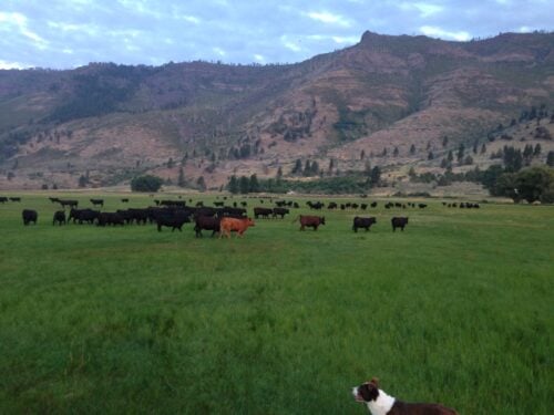 Withers Ranch, Inc. Oregon