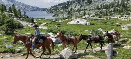 Bald Mountain Outfitters WY