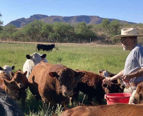 Chicaro Heritage Farms