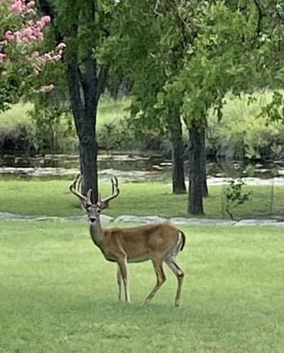 Fredericksburg Ranch TX