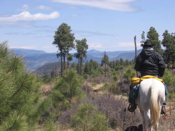 U-Trail - New Mexico