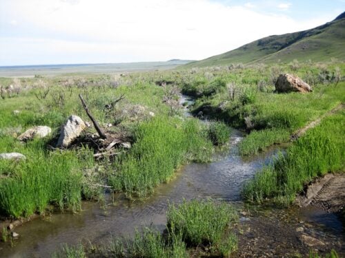 PU Ranch Idaho