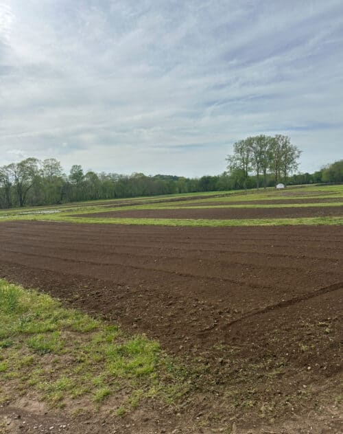 Meadowbrook Farm TN