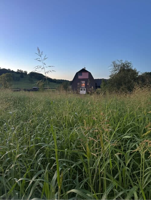 Meadowbrook Farm TN