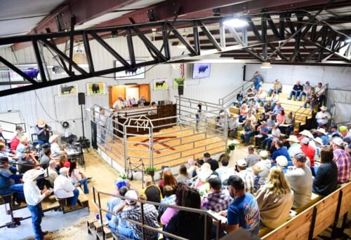 Mead Farms - Barnett, MO