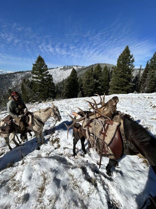 Cameron outfitters