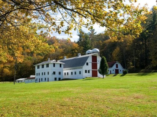 NC Farm