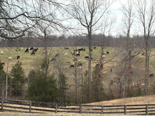 4-L Ranch VA