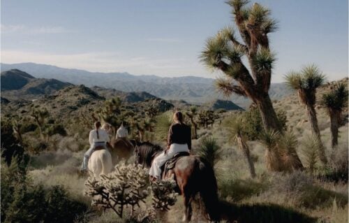 Knob Hill Ranch CA