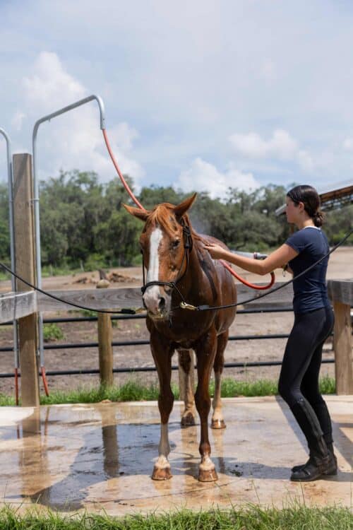 Circle F Dude Ranch - Florida
