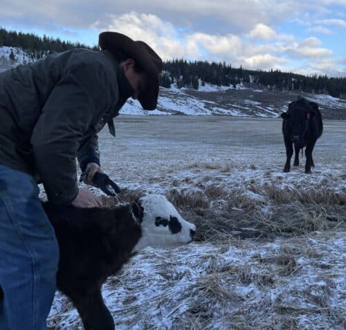 Little Jennie Ranch Wyo