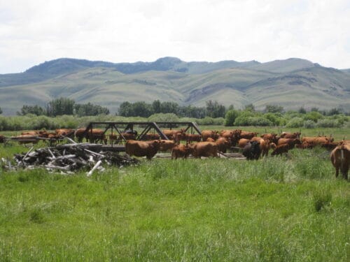 PU Ranch Idaho