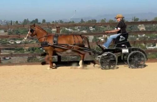 Ravenswood Ranch CA