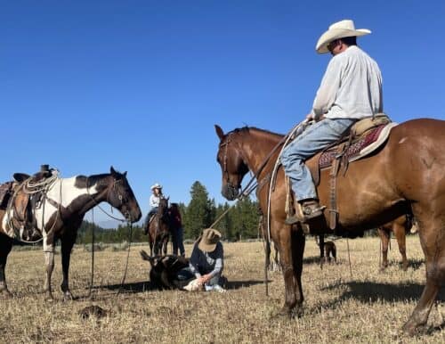 Little Jennie Ranch Wyo