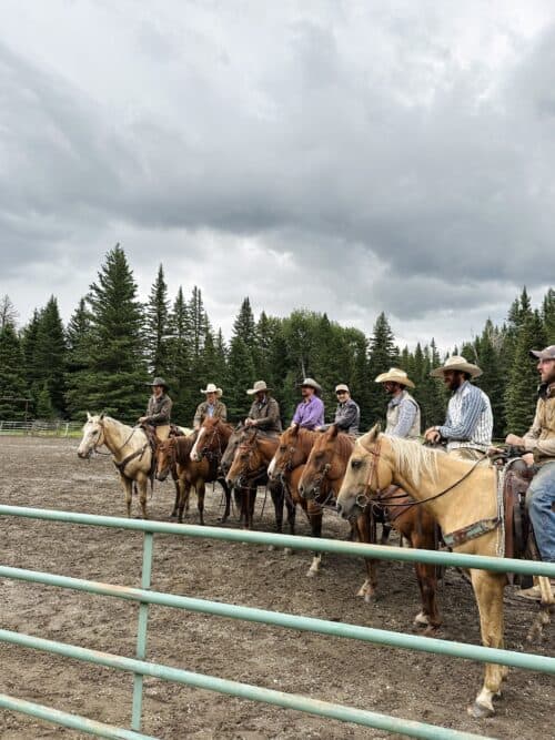 Bear Hug Cattle Company MT