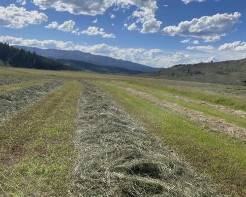 Little Jennie Ranch Wyo