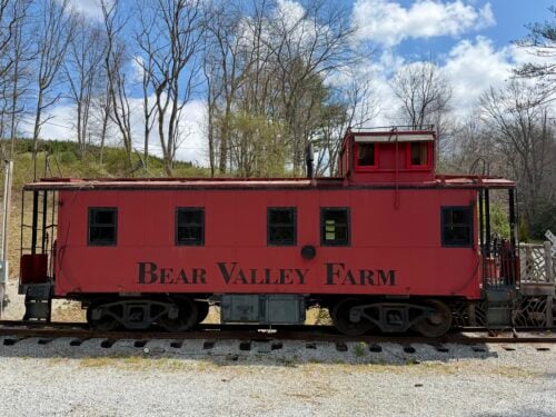 Bear Valley Farm NC
