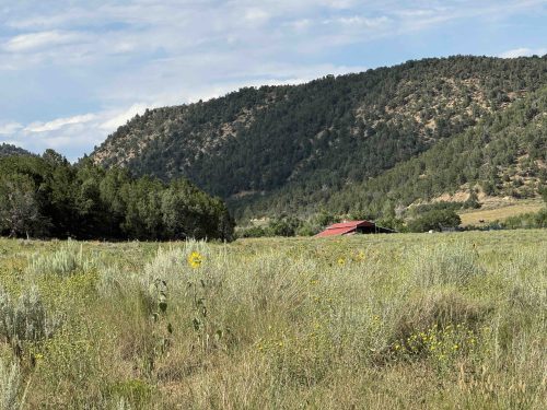 Hesperus CO Lodge