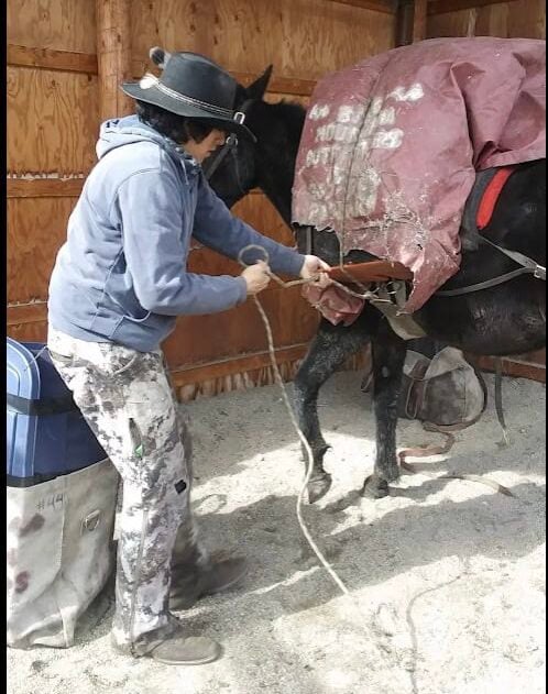 Bald Mountain Outfitters WY