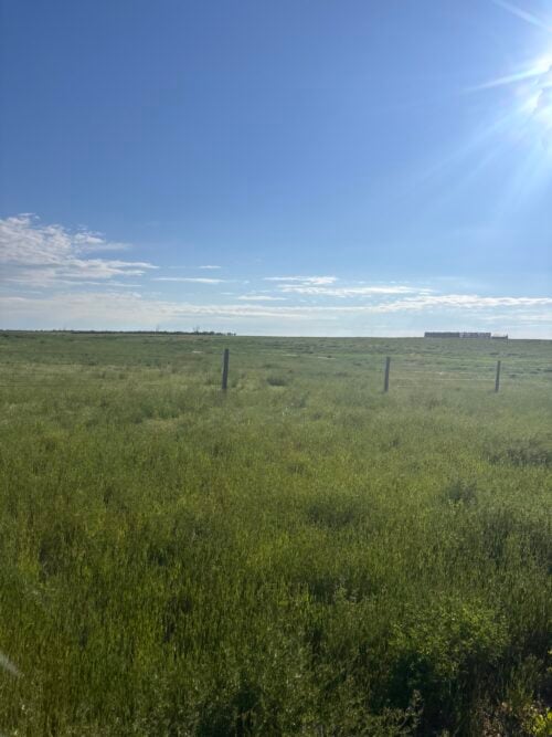 Wasson Land Inc.