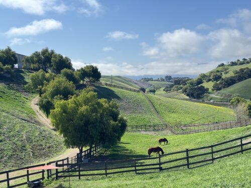 California Ranch