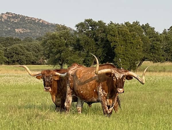 Bali Family Farm - Texas