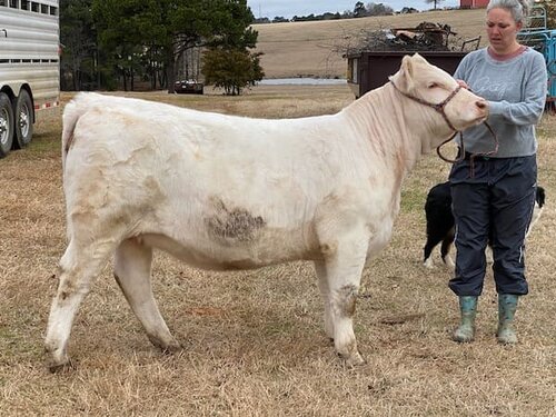 Twisted V Ranch - Texas