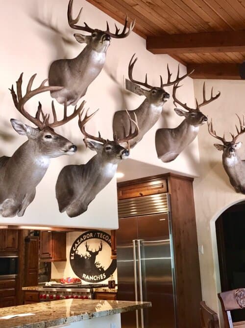 Private Hunting Ranch Caretaker(s) needed in Texas (Housekeeper