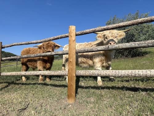 Snowmass CO Ranch