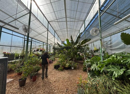 Bosque county TX Farm