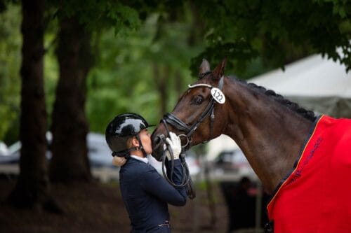 Holleger Dressage SC