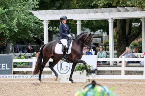Holleger Dressage SC