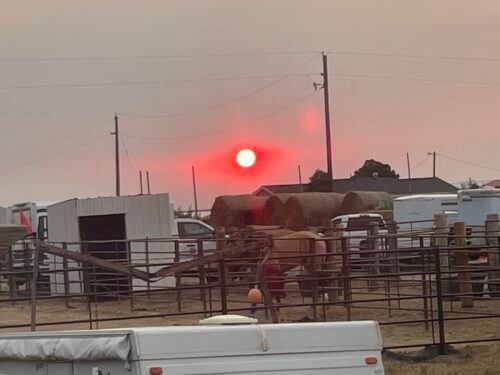 Triple D Ranch