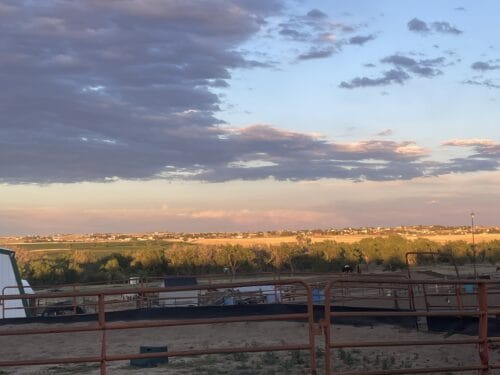 Triple D Ranch CO
