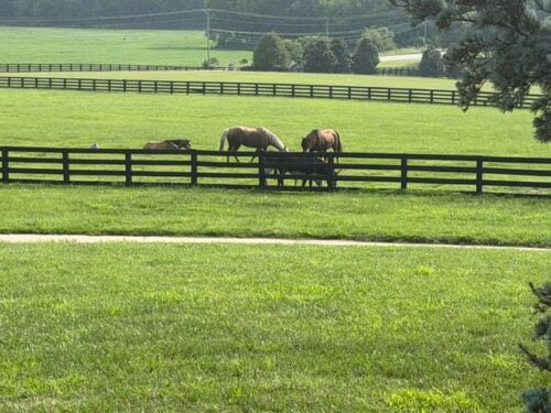 Camelot Cowboys Ranch TN