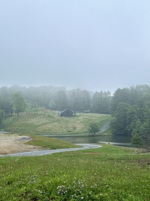 TN Farm