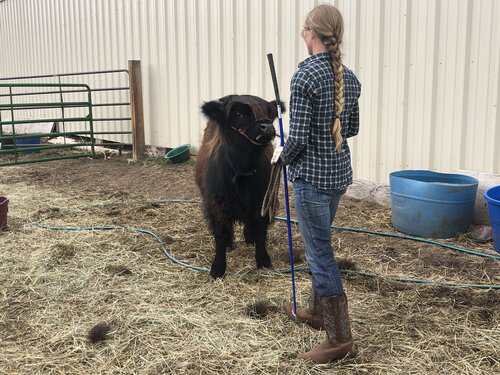 Position Wanted Farm / Ranch Worker