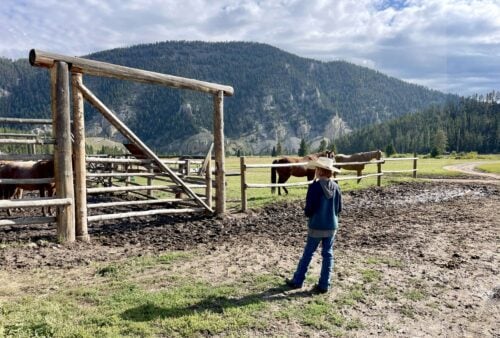Elkhorn Ranch Montana
