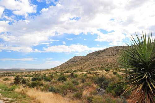 Longfellow Ranch Texas